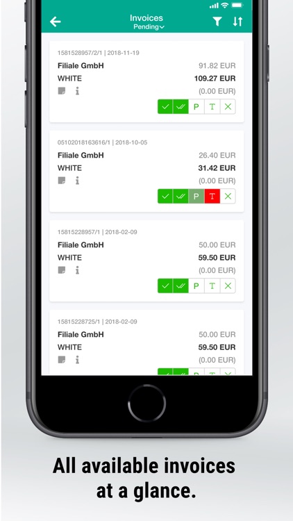 Rödl Invoice screenshot-3