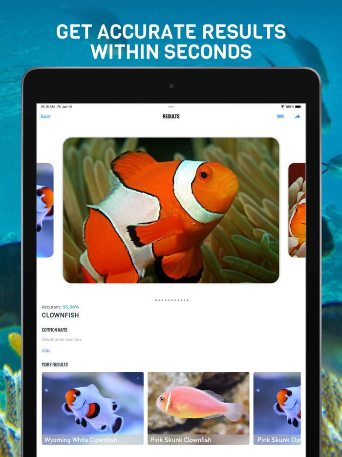 Fish Identifier - Fish Verify