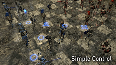 Wizard's Battle Chess screenshot 2