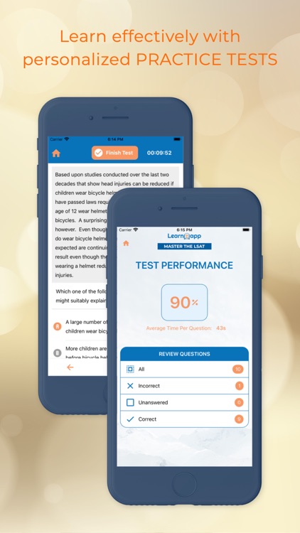 MASTER THE LSAT screenshot-3