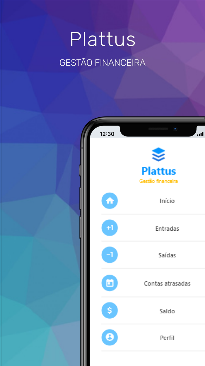 Plattus Gestão Financeira