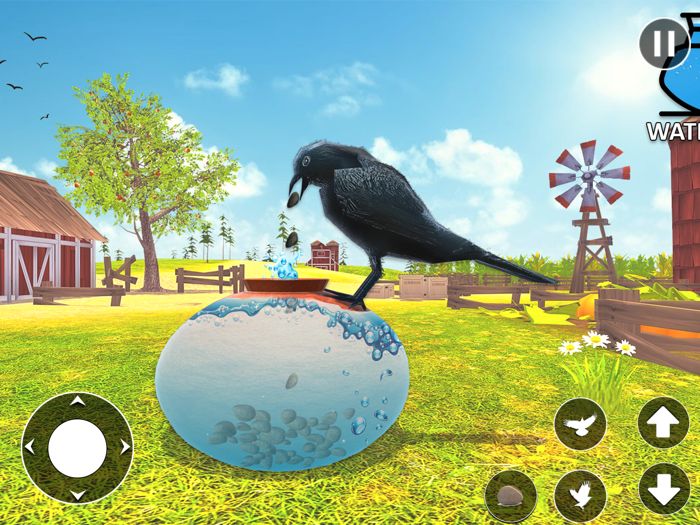 Amazing Crow Sim Bird Games