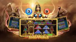 Game screenshot BingoK apk