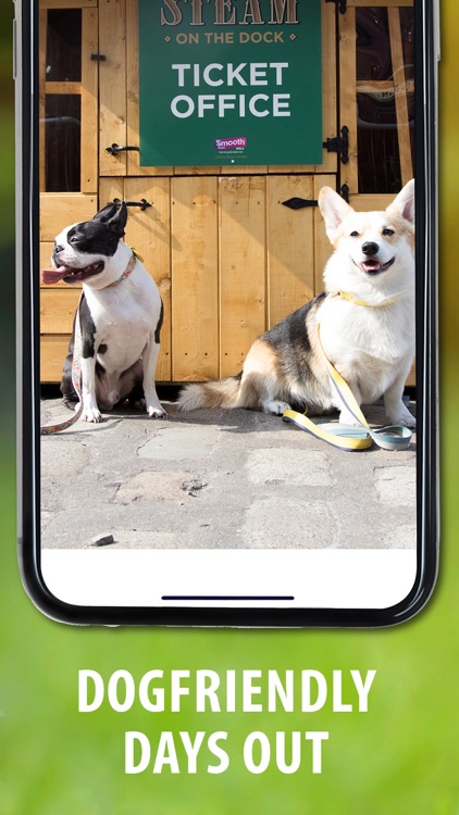 Dog Friendly Magazine screenshot-4