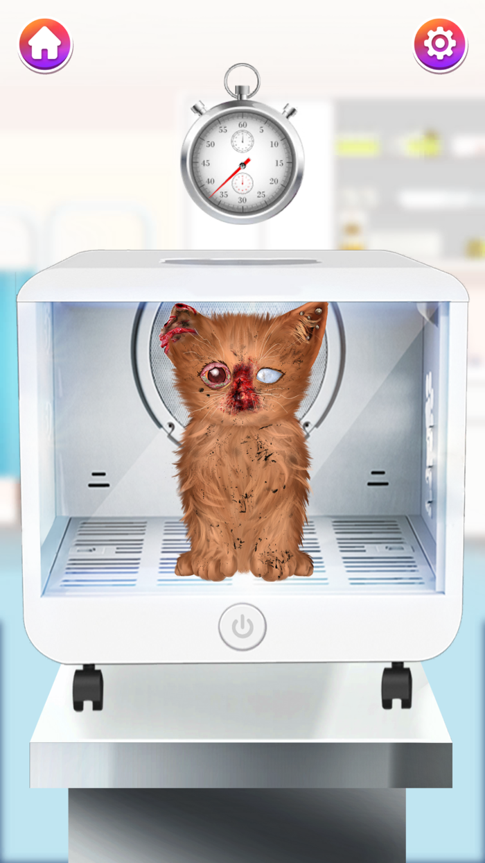 Cat ASMR Salon Makeover