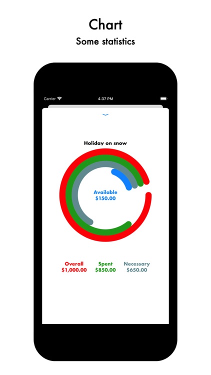 Micro Budget Manager screenshot-4