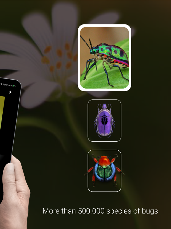 Bug Identifier - Insectのおすすめ画像2