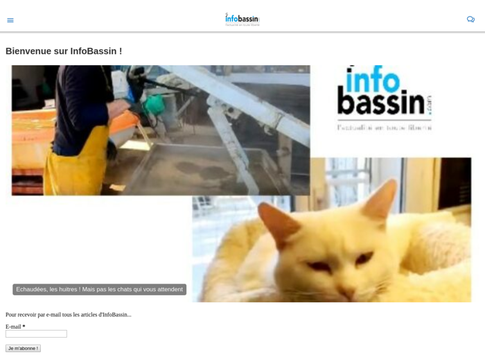 INFOBASSIN