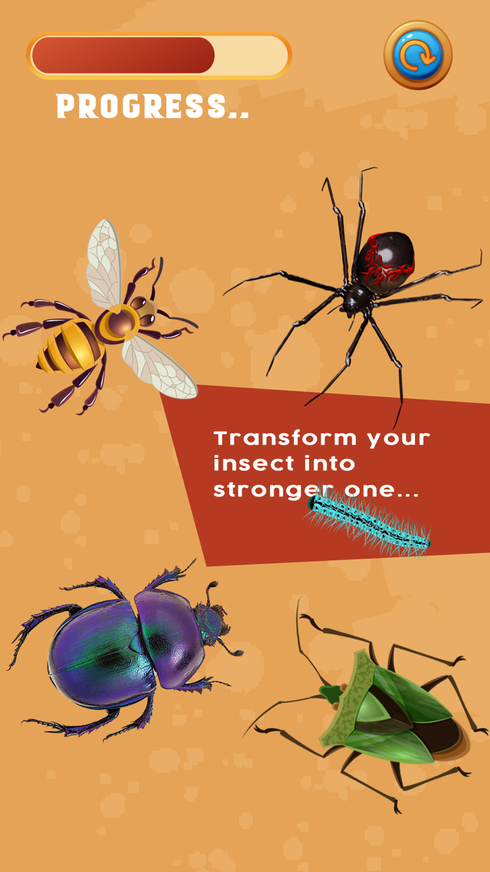 Insect Evolution Fun Bug Games
