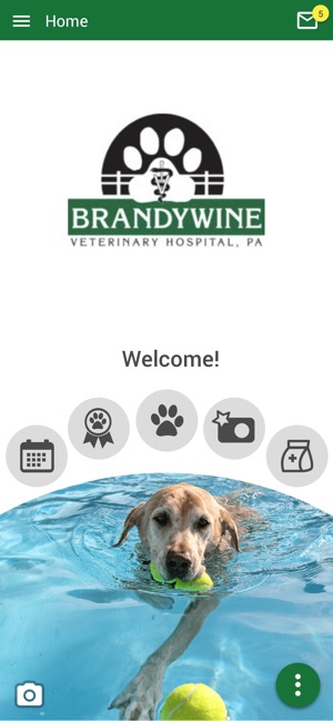 BrandywineVet on the App Store