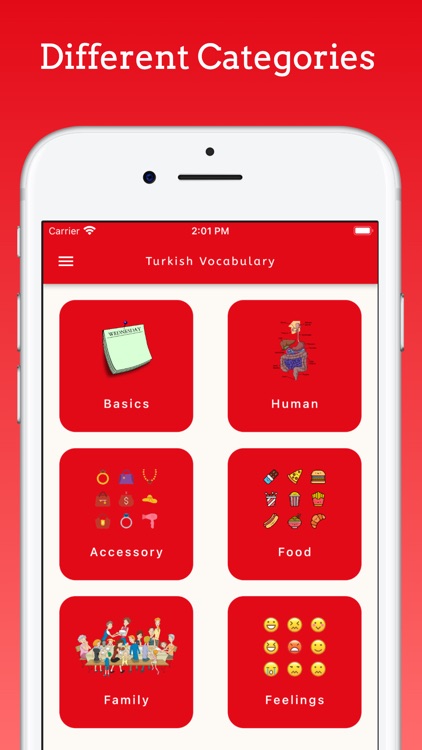 Learn Turkish Beginner!