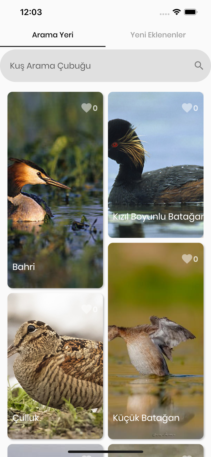 Kızılırmak Kuşları