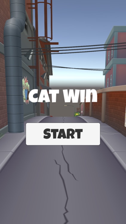 Cat Win