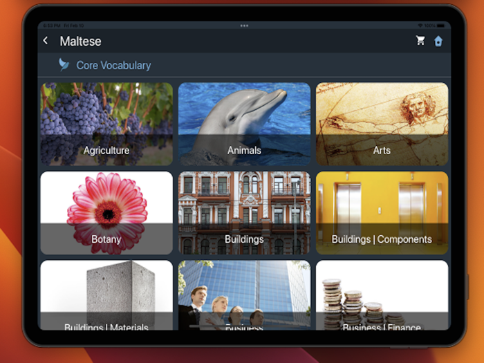 Bluebird Learn Maltese