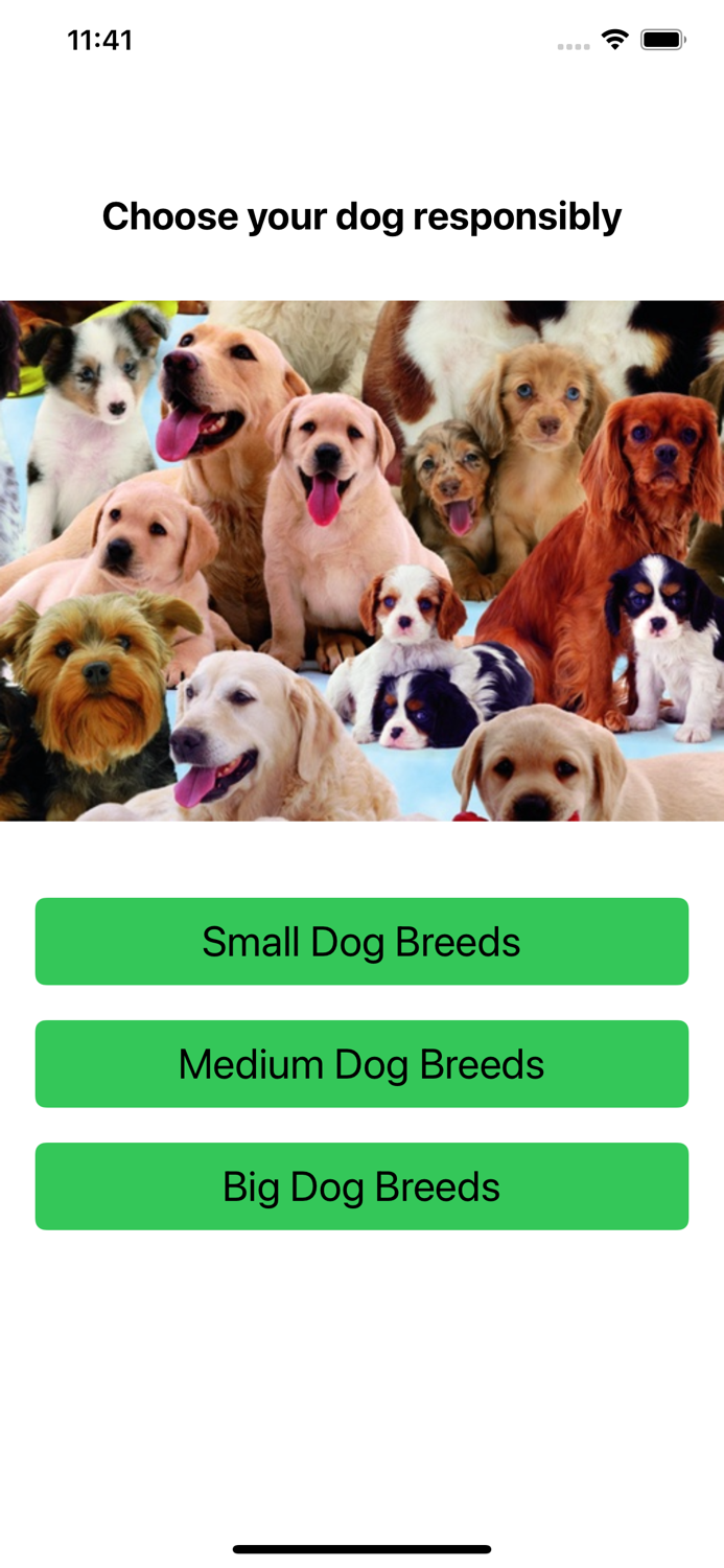 Dog Breeds for You