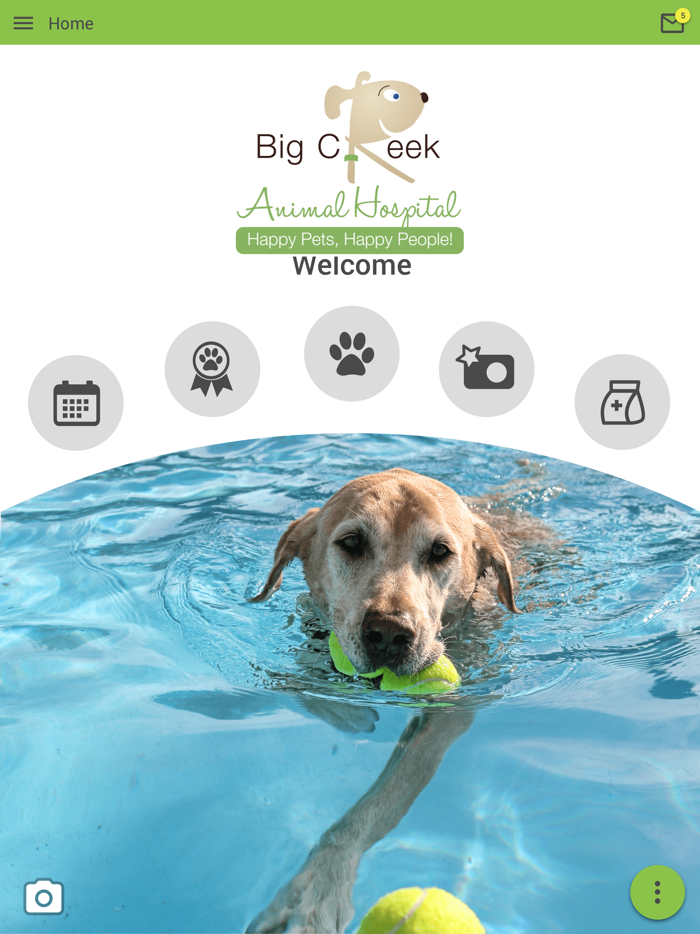 Big Creek Animal Hospital