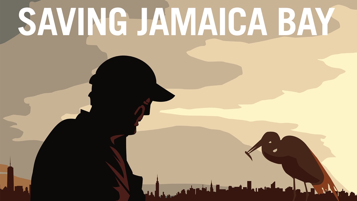 Saving Jamaica Bay Apple TV (uk)