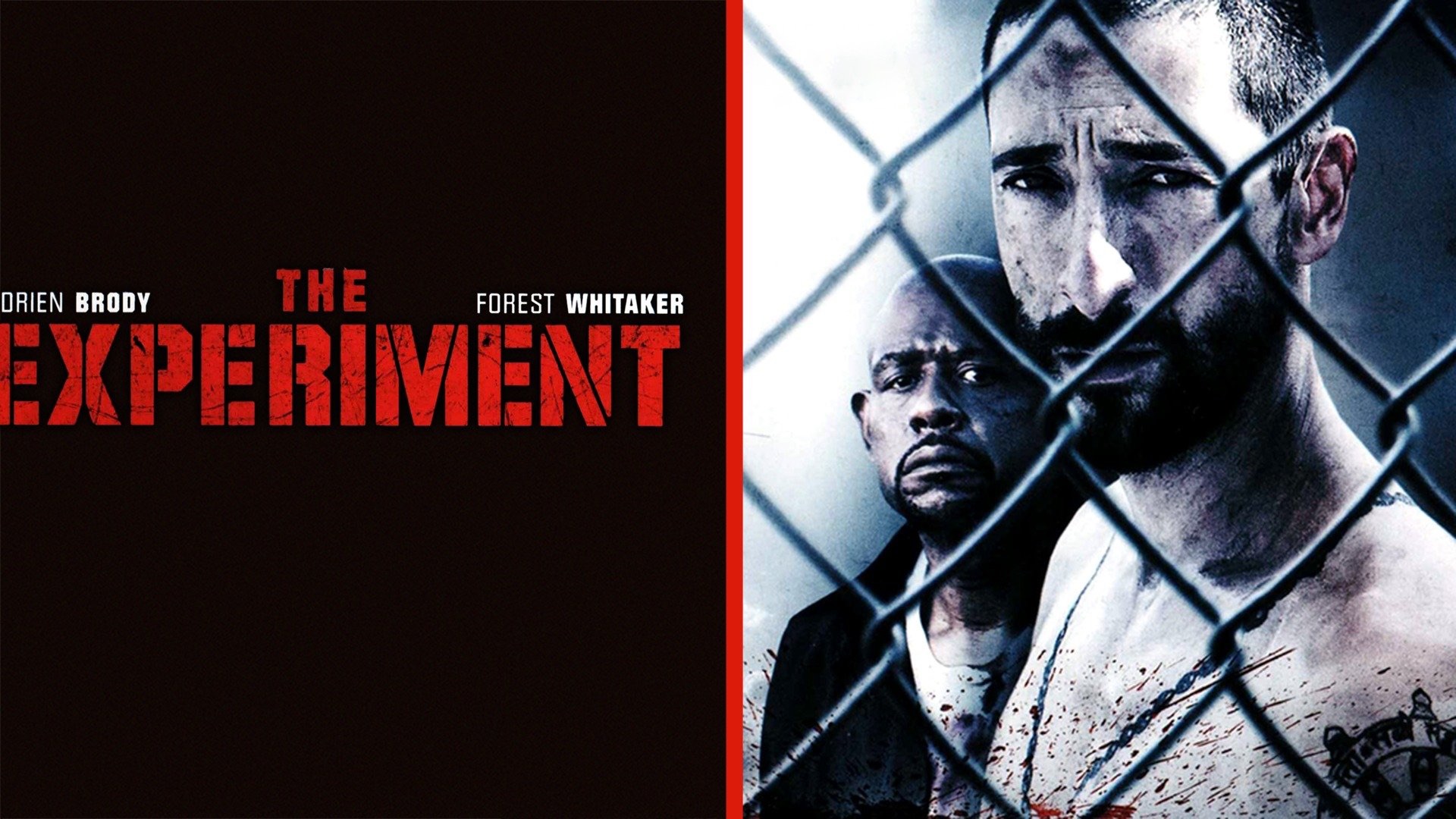 Эксперимент 2010. Эксперимент the Experiment 2010. Форест Уитакер эксперимент. Эксперимент обложка фильма 2010. Эксперимент фильм Фиммел.