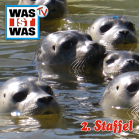 Was ist Was - Was ist Was, Staffel 2 artwork