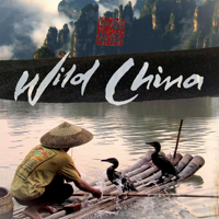 Wild China - Wild China, Series 1 artwork