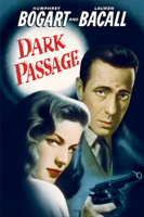 Delmer Daves - Dark Passage (1947) artwork