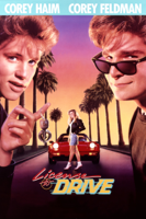 Greg Beeman - License to Drive artwork