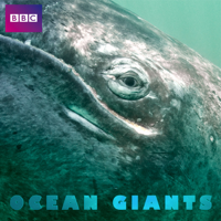 Ocean Giants - Ocean Giants, Series 1 artwork