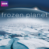 Frozen Planet - Frozen Planet - Eisige Welten artwork