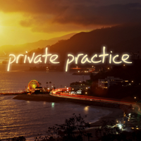 Private Practice - Einschnitte artwork