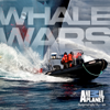 Whale Wars, Season 4 - Whale Wars
