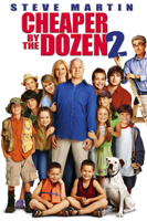 Adam Shankman - Cheaper By the Dozen 2 artwork