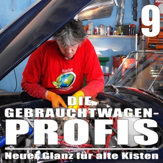 die gebrauchtwagen profis staffel 14 die gebrauchtwagen profis staffel 14