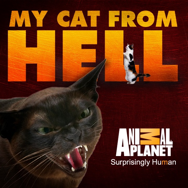 My Cat from Hell, Season 1 on iTunes