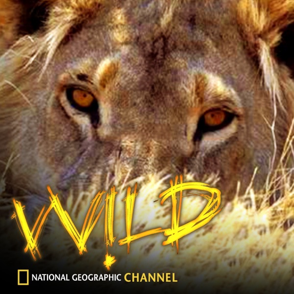 National Geographic Channel Wild on iTunes