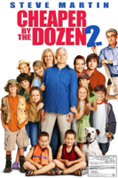 Adam Shankman - Cheaper By the Dozen 2 artwork