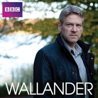Télécharger Wallander, Series 3 Episode 3
