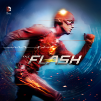The Flash - The Flash, Season 1 artwork
