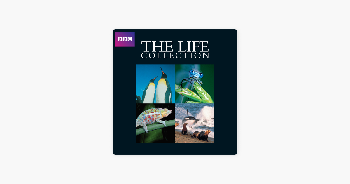 The Life Collection With David Attenborough On Itunes