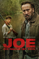 David Gordon Green - Joe - Die Rache ist sein artwork