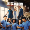Grey's Anatomy, Season 19 - Grey's Anatomy