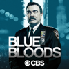 Blue Bloods - Higher Standards  artwork