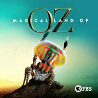 Magical Land of Oz - Magical Land of Oz artwork