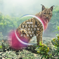 Seven Worlds, One Planet - Europe artwork