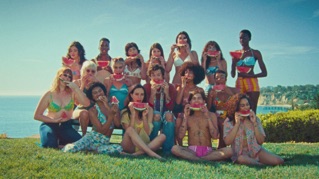 Watermelon Sugar (Official Video)