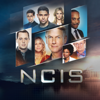 NCIS - NCIS, Season 17 artwork