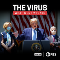 The Virus: What Went Wrong? - The Virus: What Went Wrong? artwork