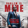 Godfather of Harlem - Godfather of Harlem, Season 1  artwork
