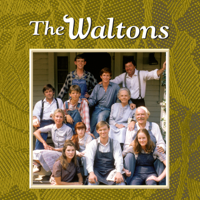 The Waltons - The Waltons: The Complete Series artwork