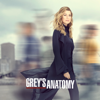 Grey's Anatomy - Grey's Anatomy, Season 16  artwork