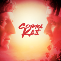 Cobra Kai - Cobra Kai, Season 2 artwork